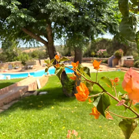 Do Algarve Eco-friendly Countryside Retreat Heated Pool 21 Guests Armacao De Pera *